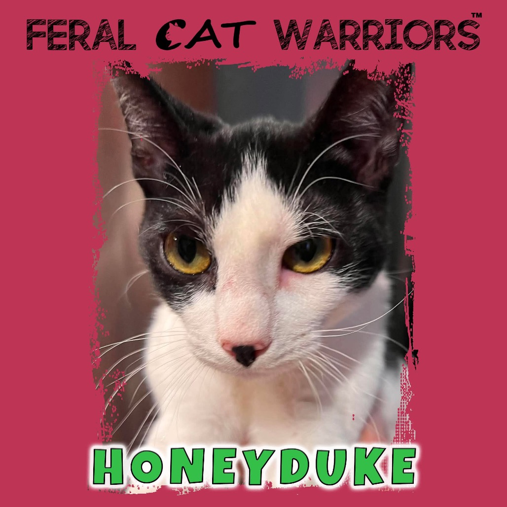 Honeyduke
