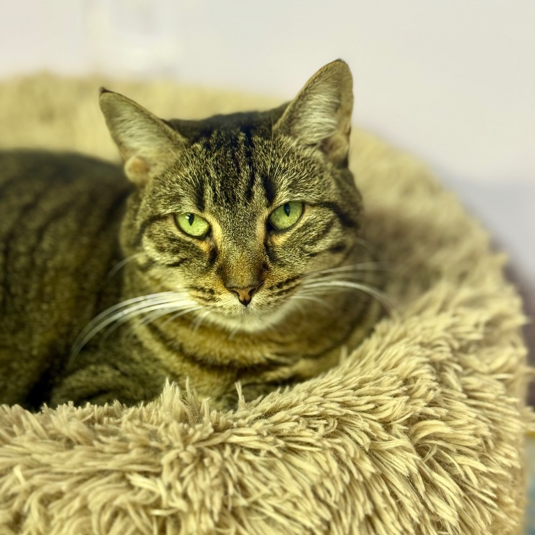 Full body shot of Harper