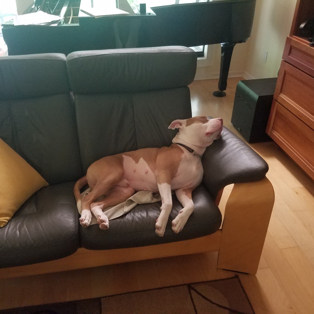 Lloyd, photo 10