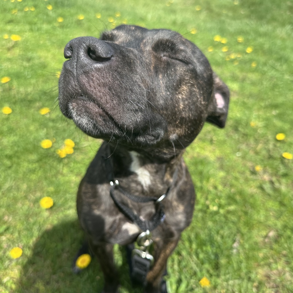 Photo of Root Beer 3