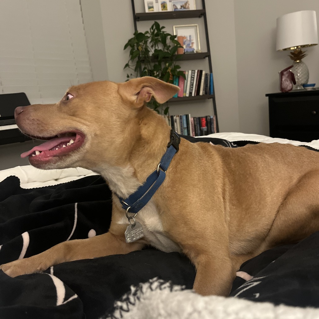 Honey — thumbnail 10