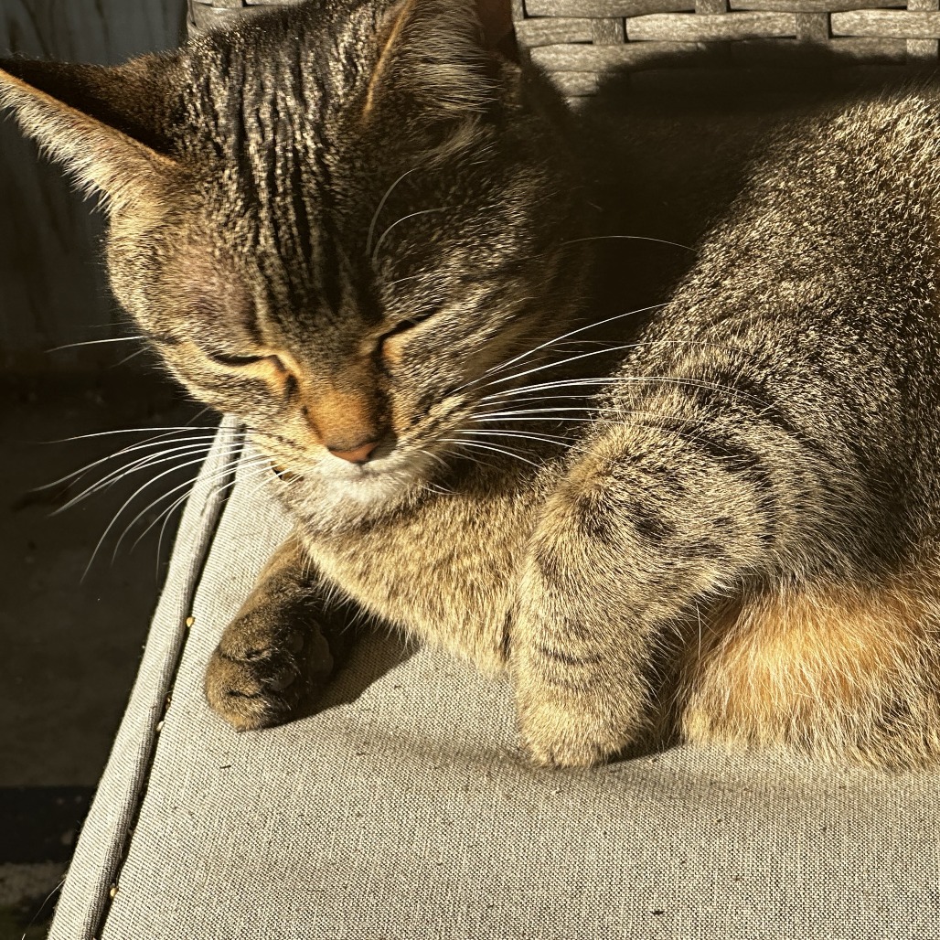 Photo of Smudge 3