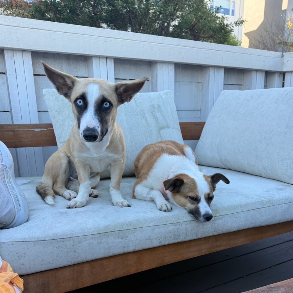 LILAH, photo 8