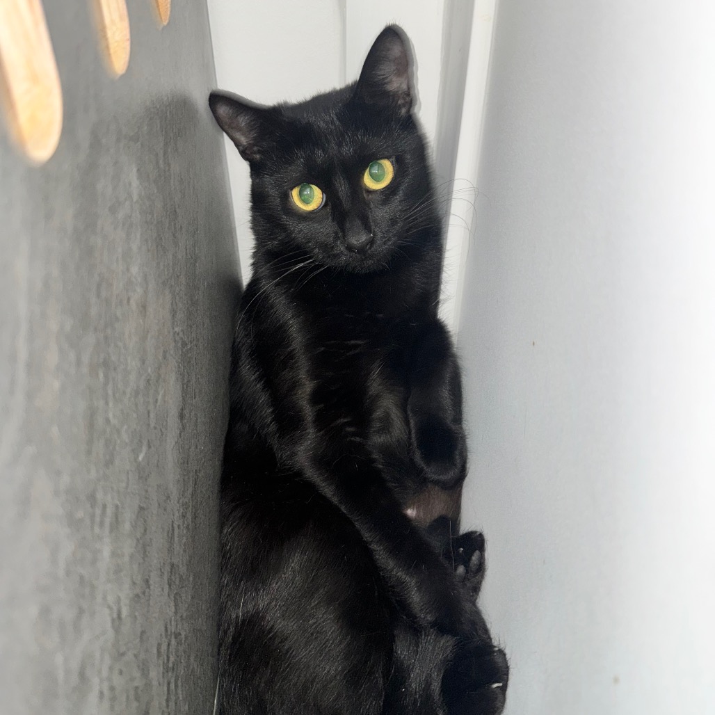 Hera, photo 3