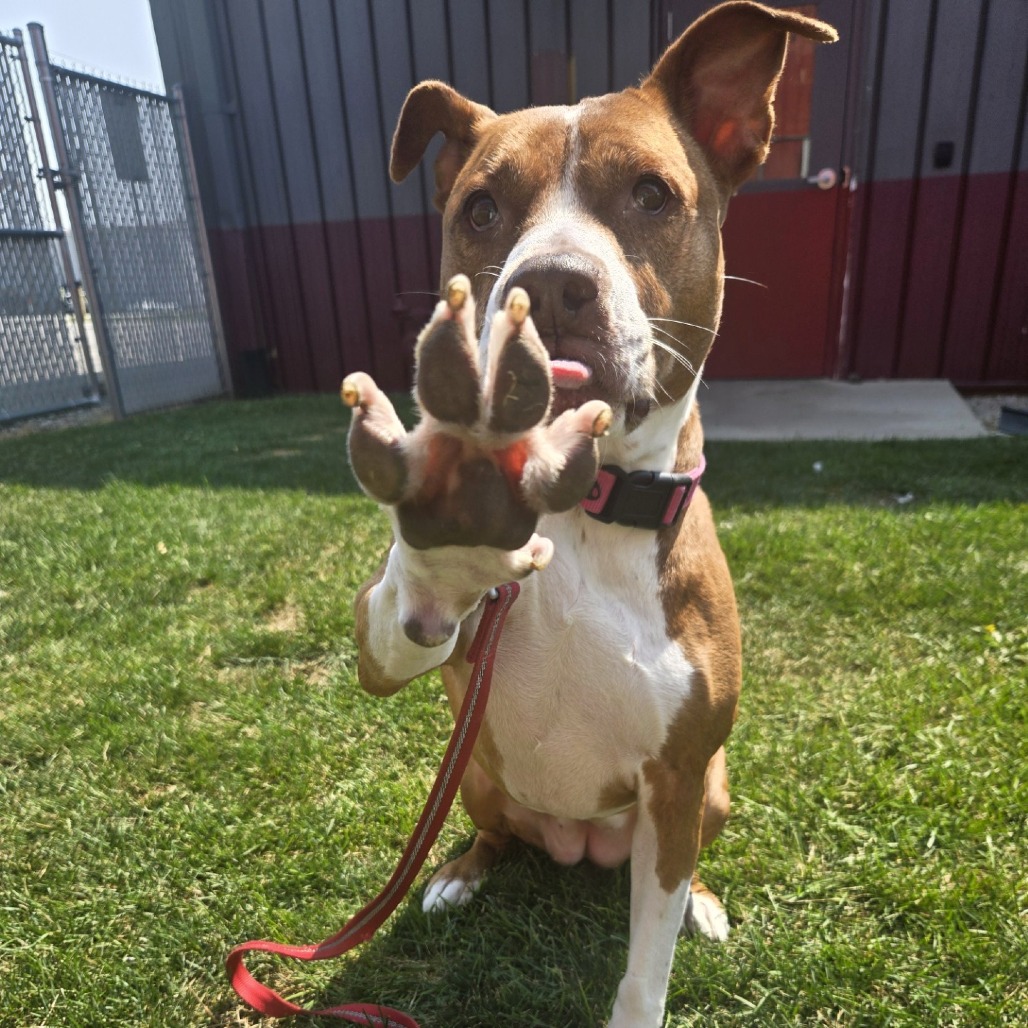 Neena, photo 6