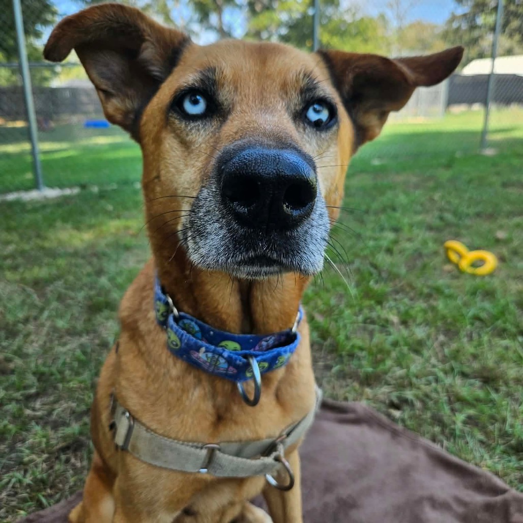 Diamond, photo 13