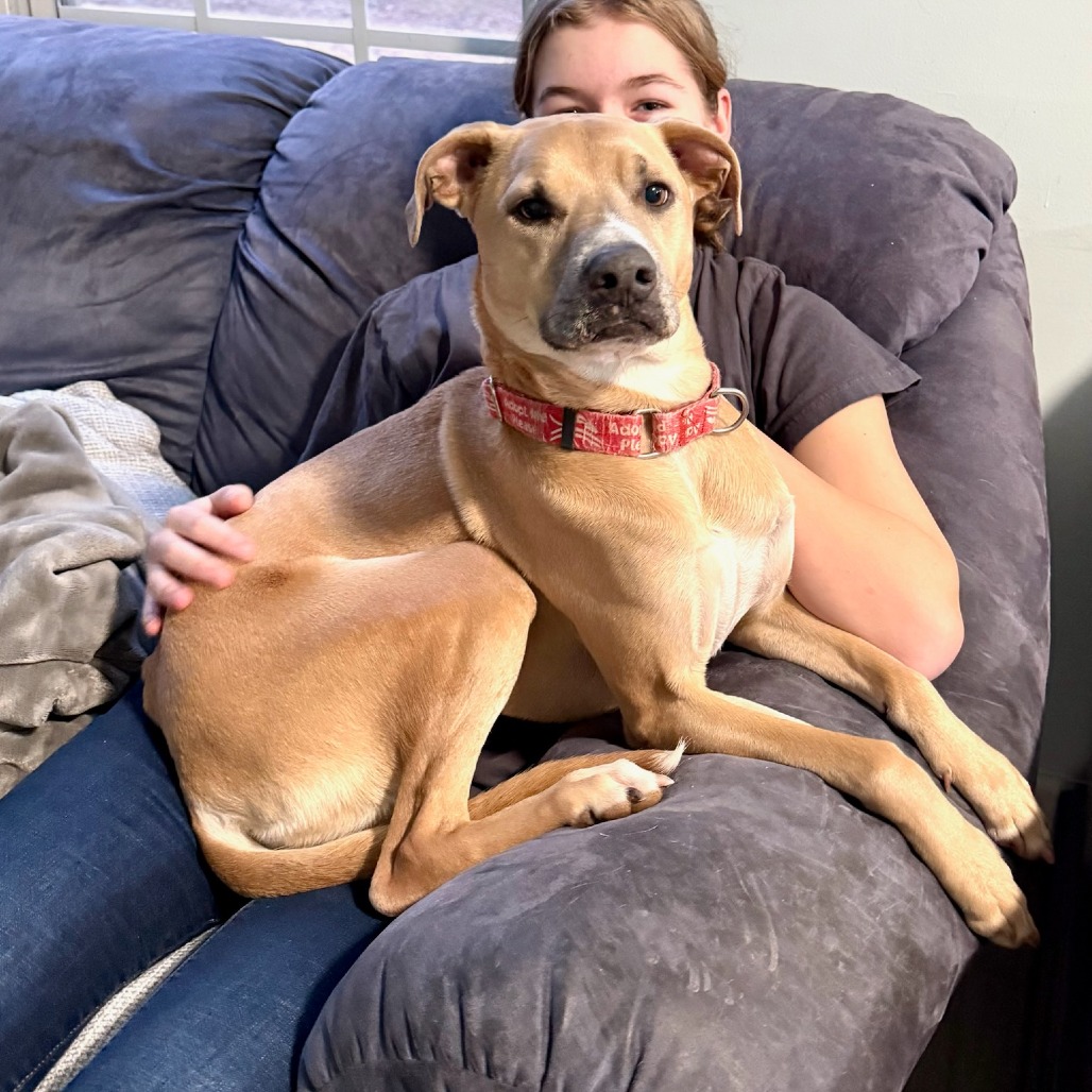 Francesca 12-1724, photo 8