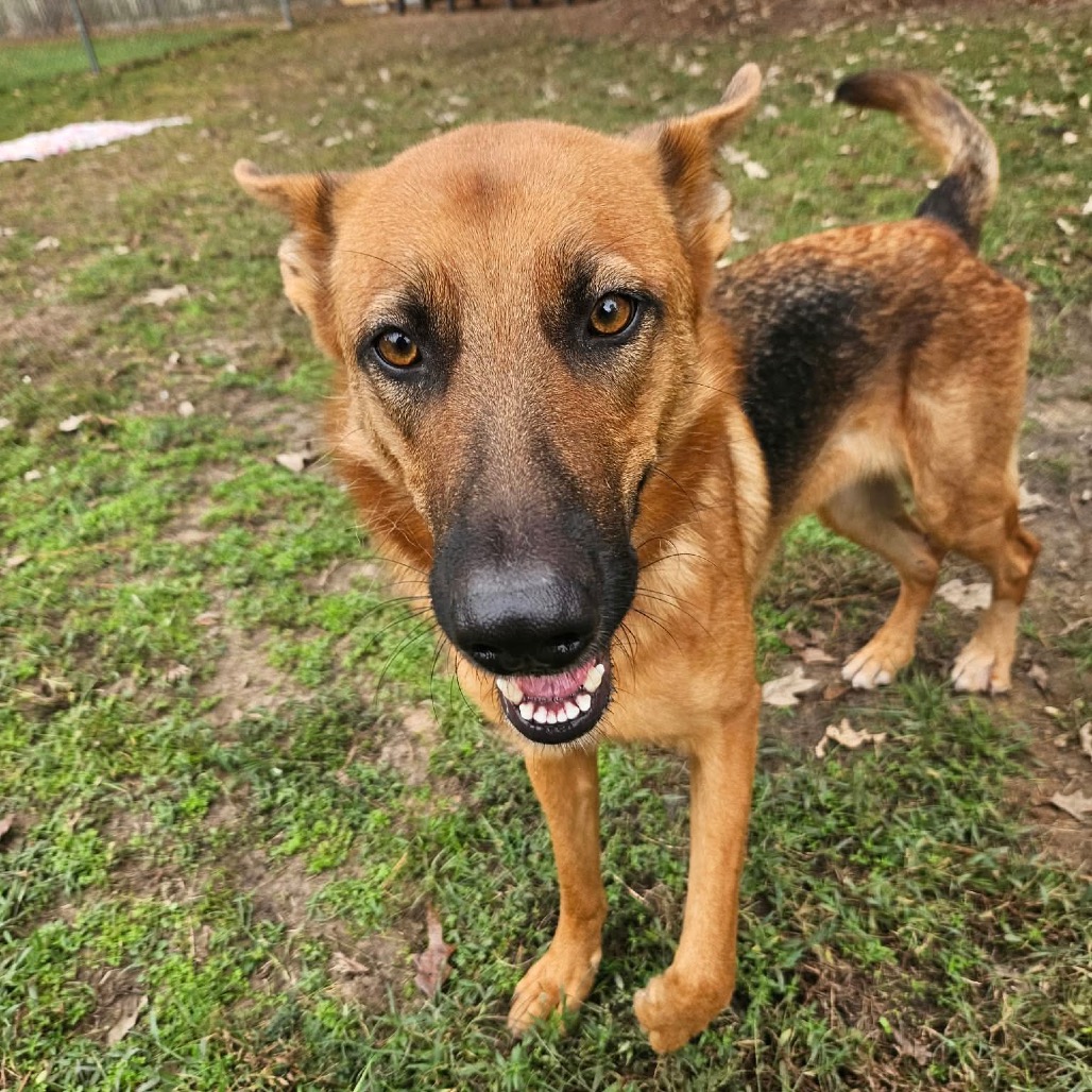 Enya, photo 9