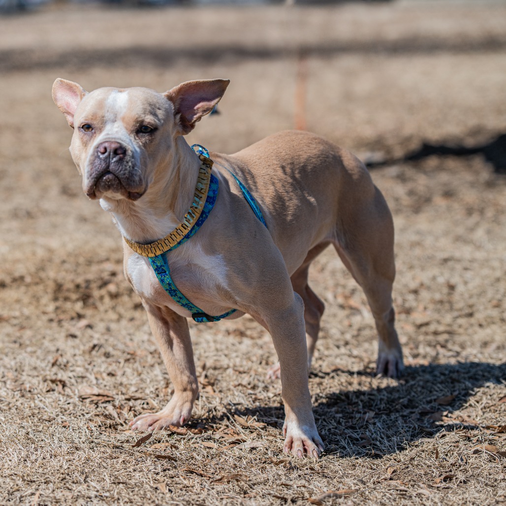 Catherine, photo 13