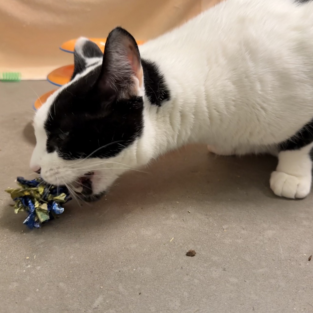 Photo of QZ and Freddy 13