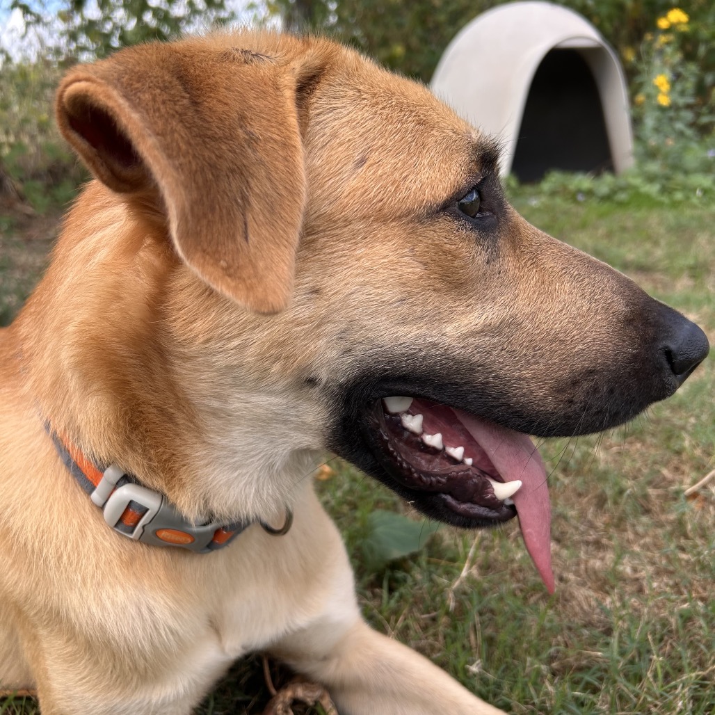 Atticus, photo 5