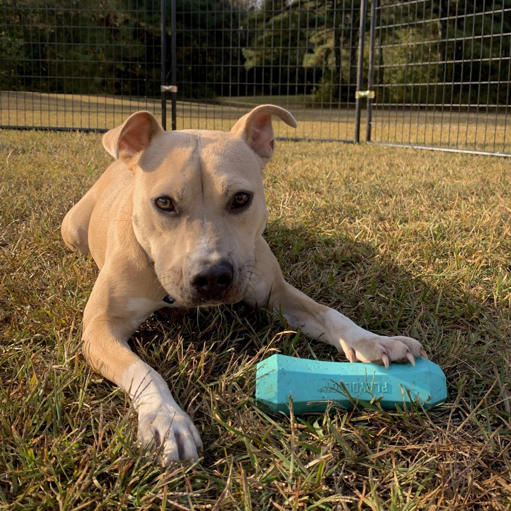 Pippa 01-1426, photo 9