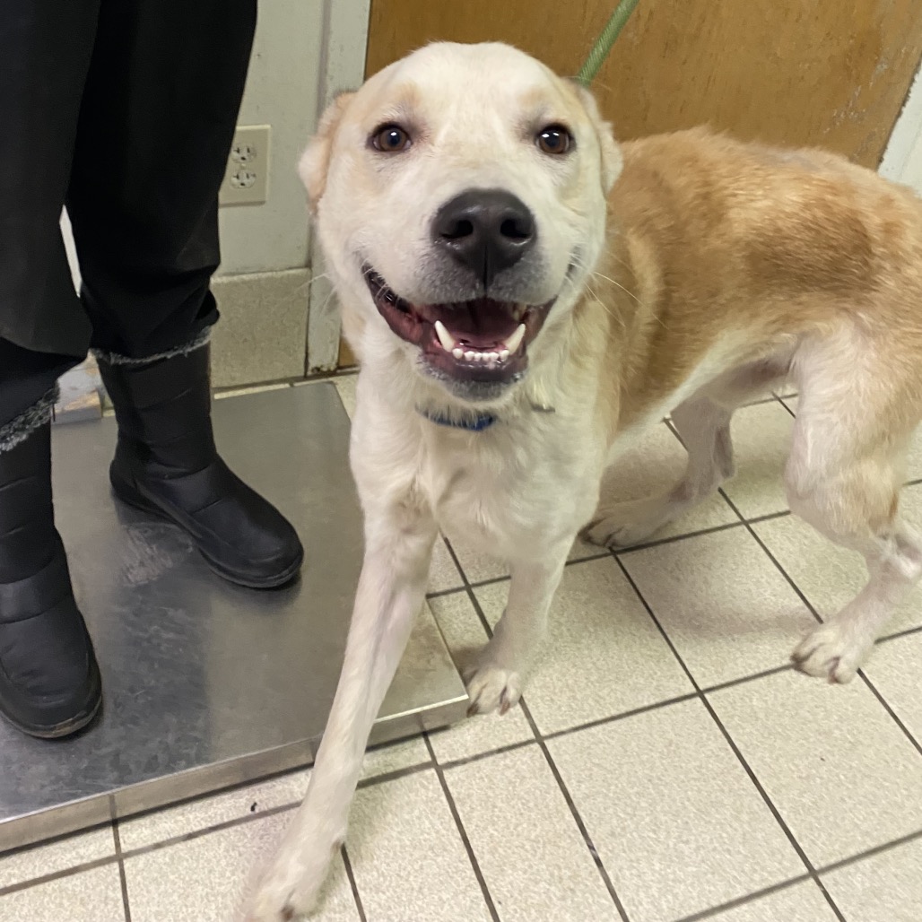 Giuseppe — thumbnail 2