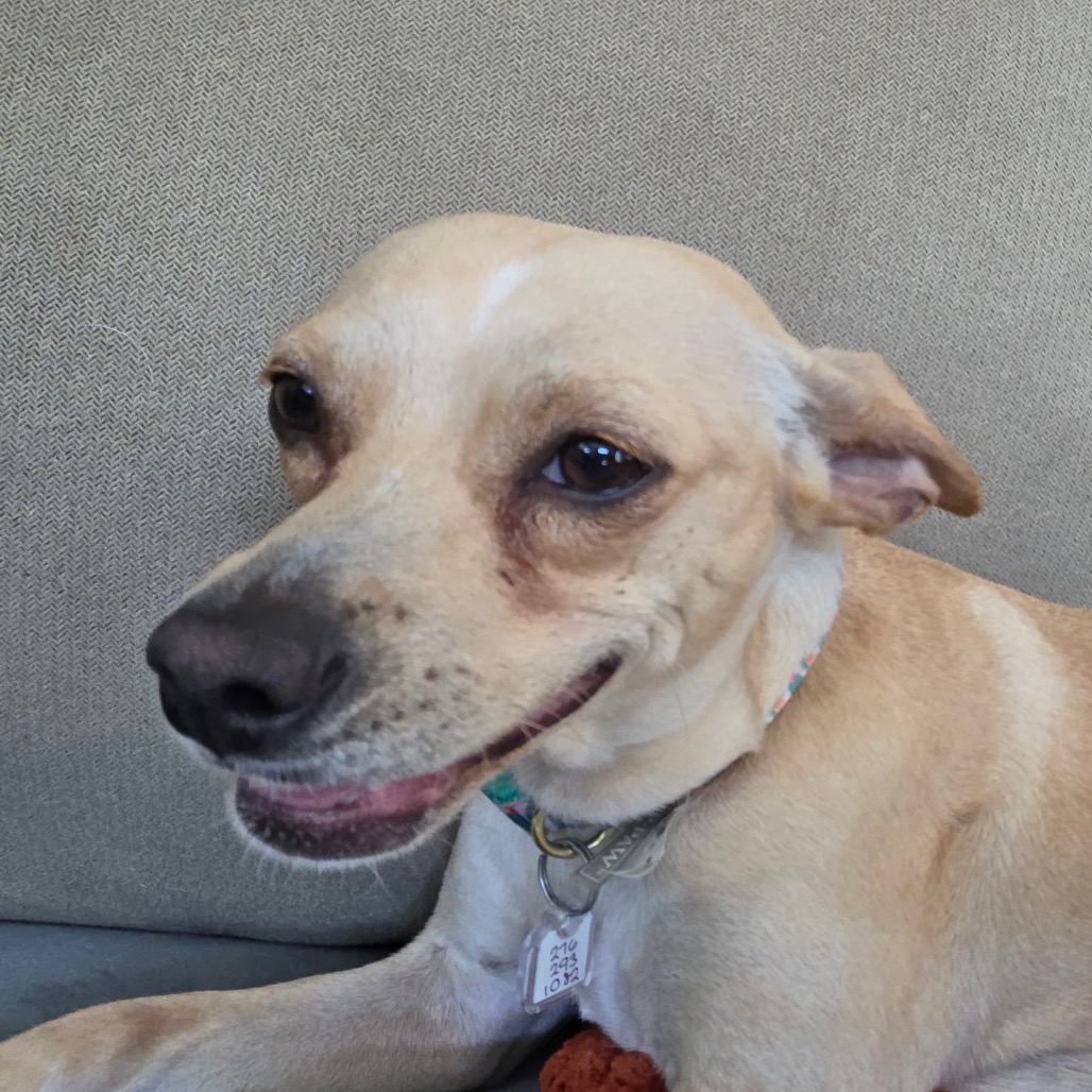 Lilly — thumbnail 3