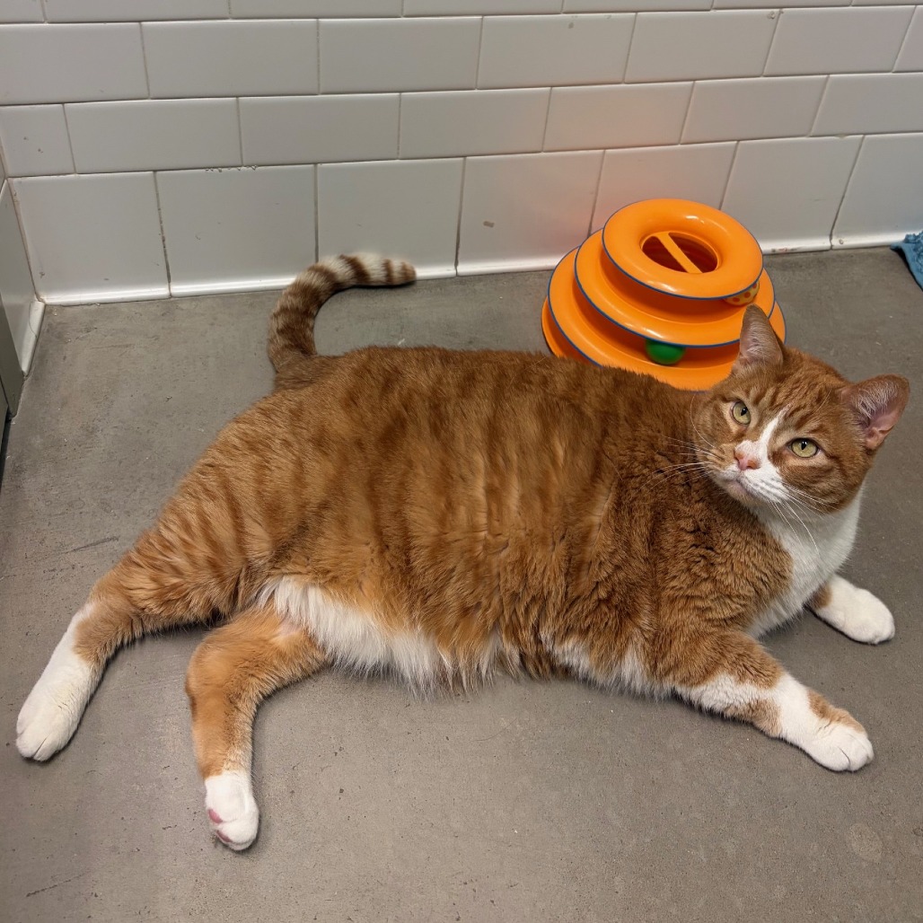 Photo of Freddy and QZ 14