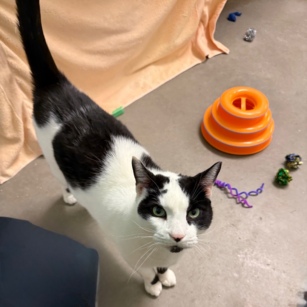 Photo of QZ and Freddy 19