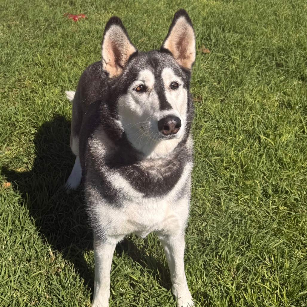 Tundra, photo 8