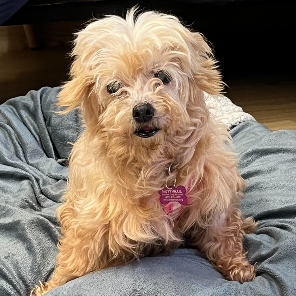 Peggy O 13758 — thumbnail 3