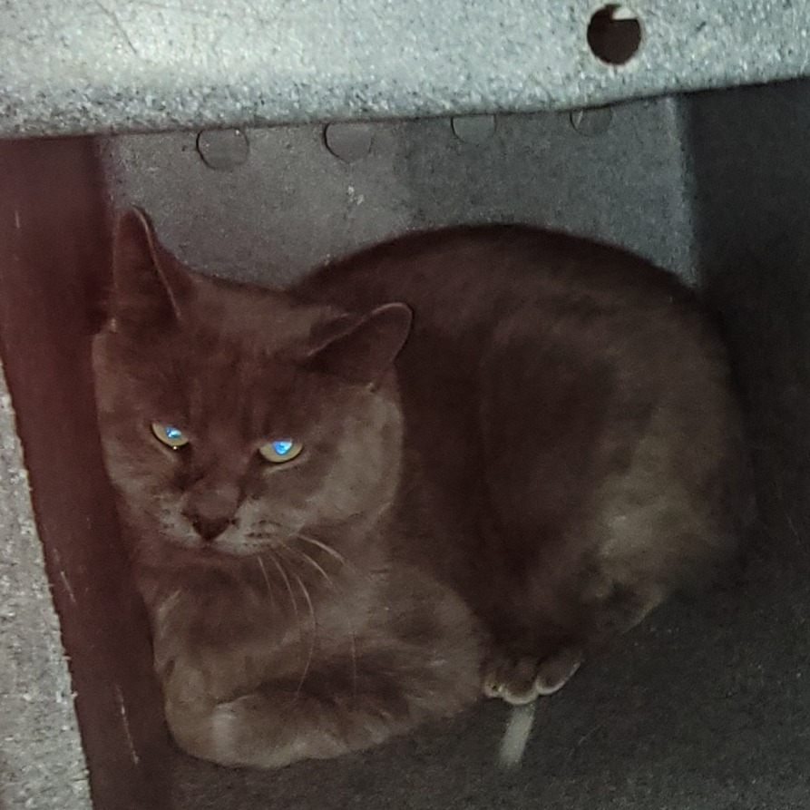 Guido, photo 2