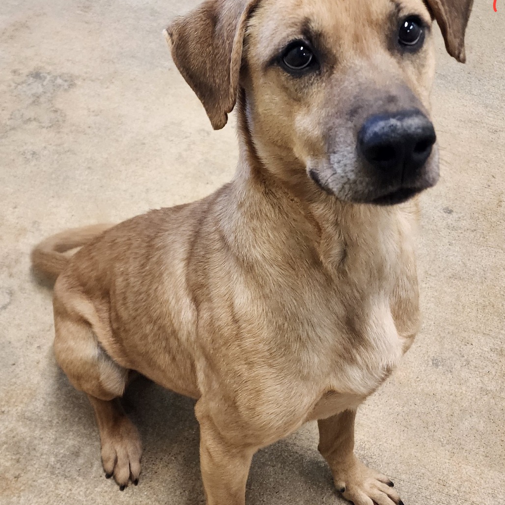 Simon — thumbnail 2