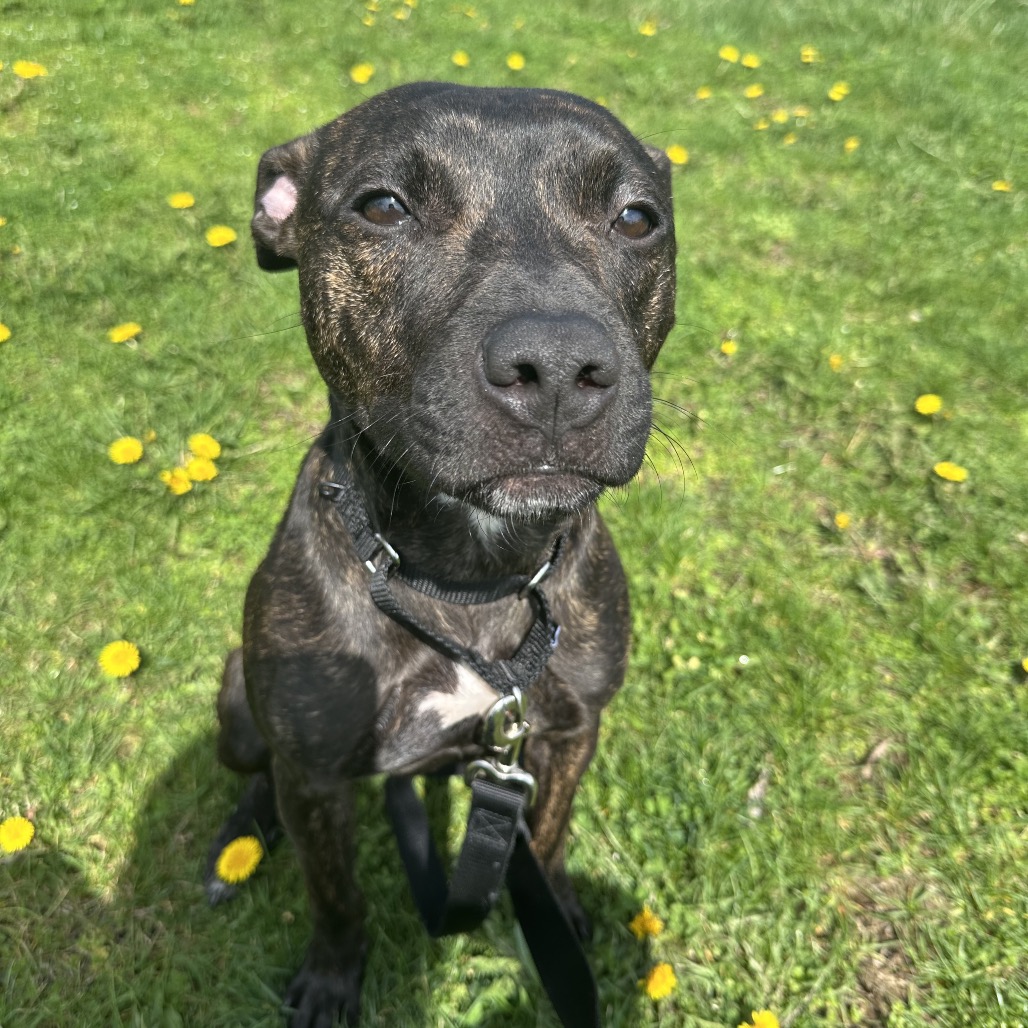 Photo of Root Beer 4