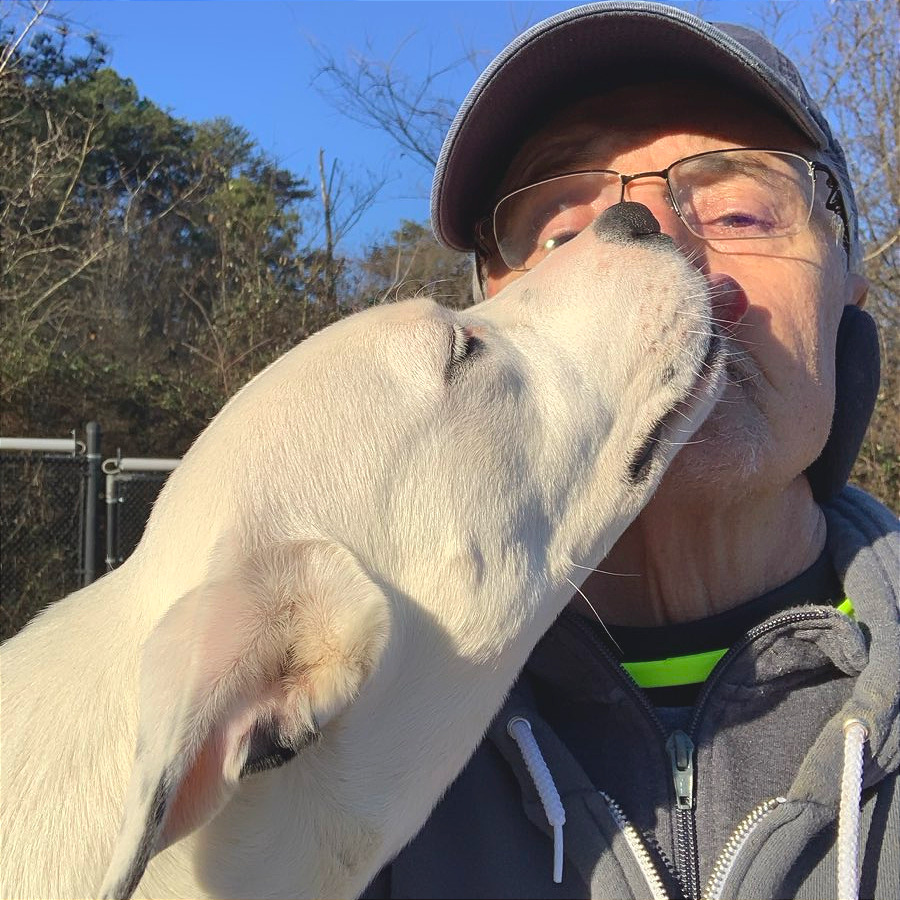 Winnie — thumbnail 10