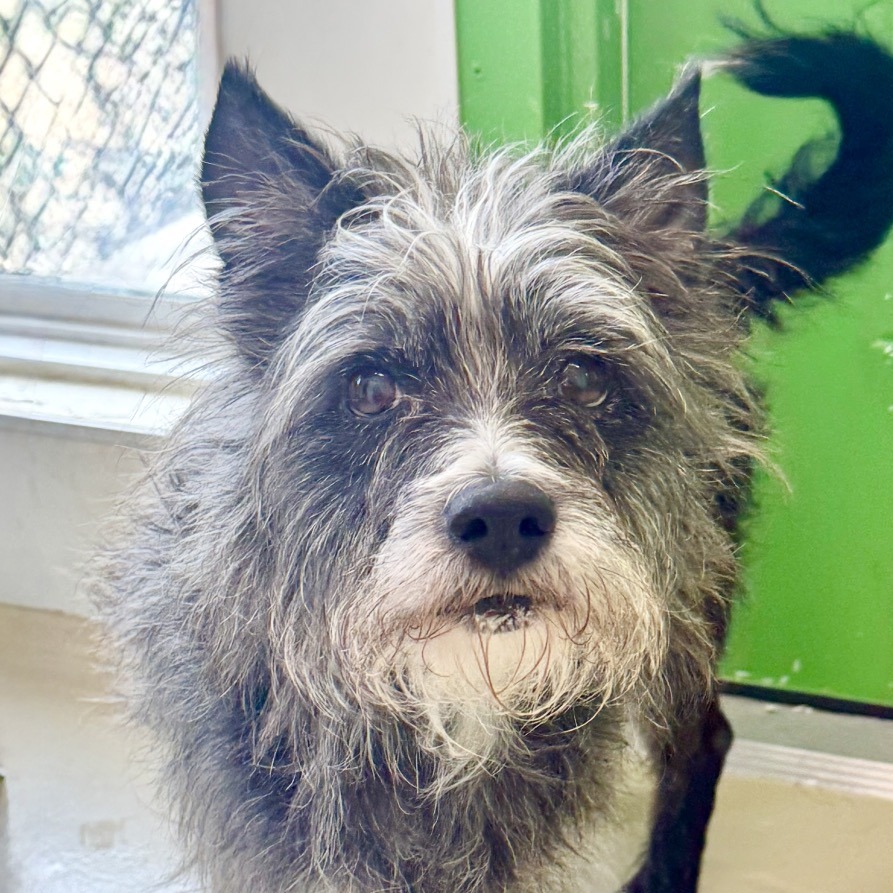 Albert, photo 5