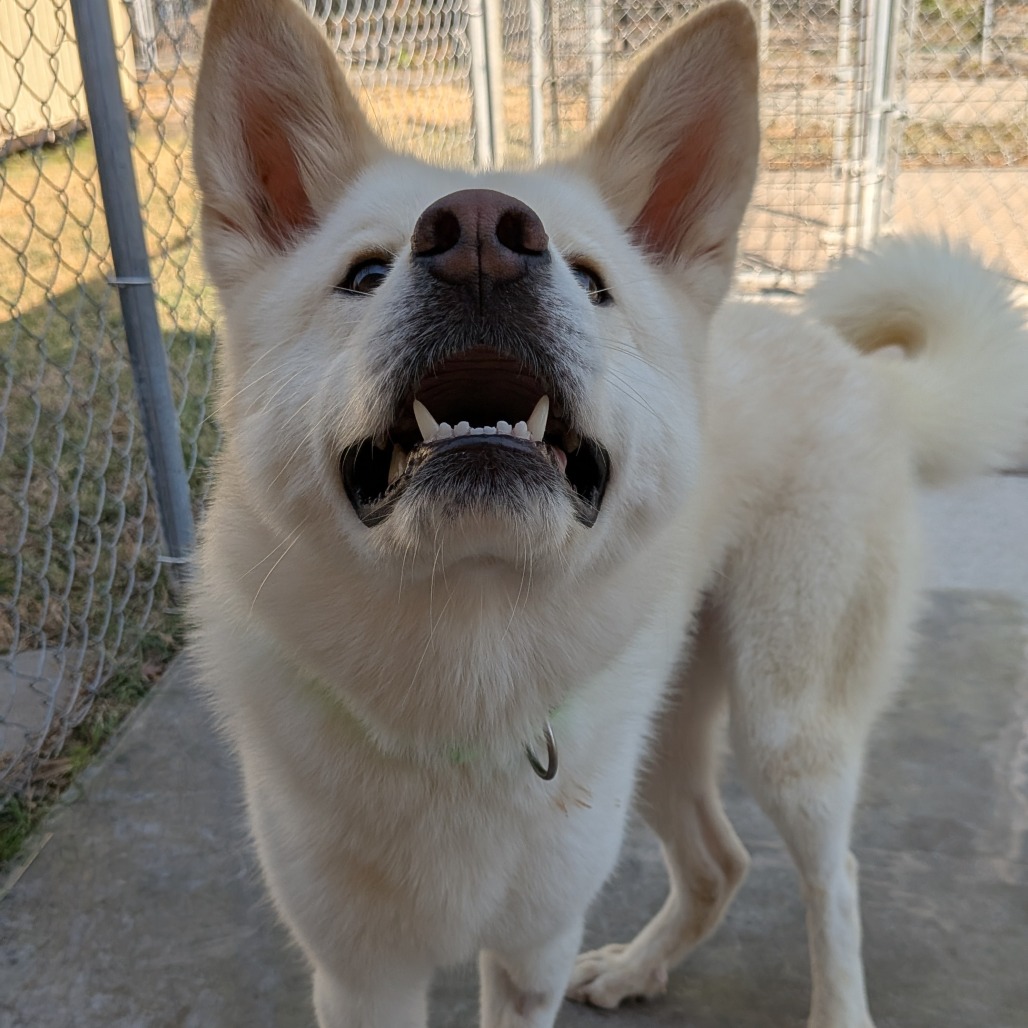 Maggie photo 5