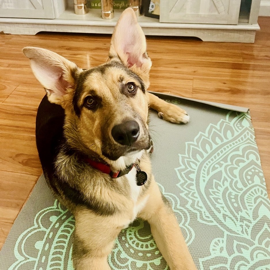 Leon — thumbnail 2