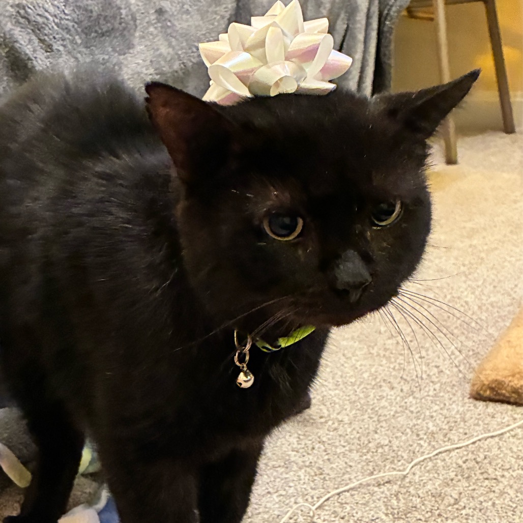 August — thumbnail 3