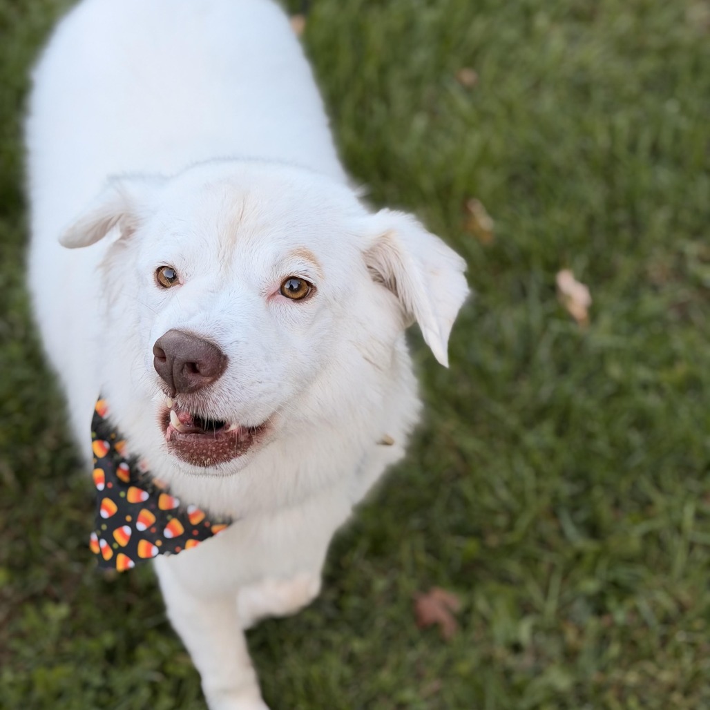 Gigi (bonded with Gable) photo 9
