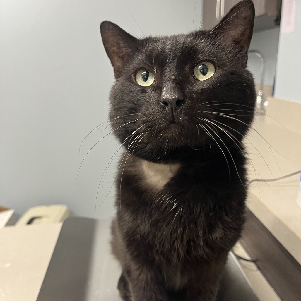 Aaron — thumbnail 2