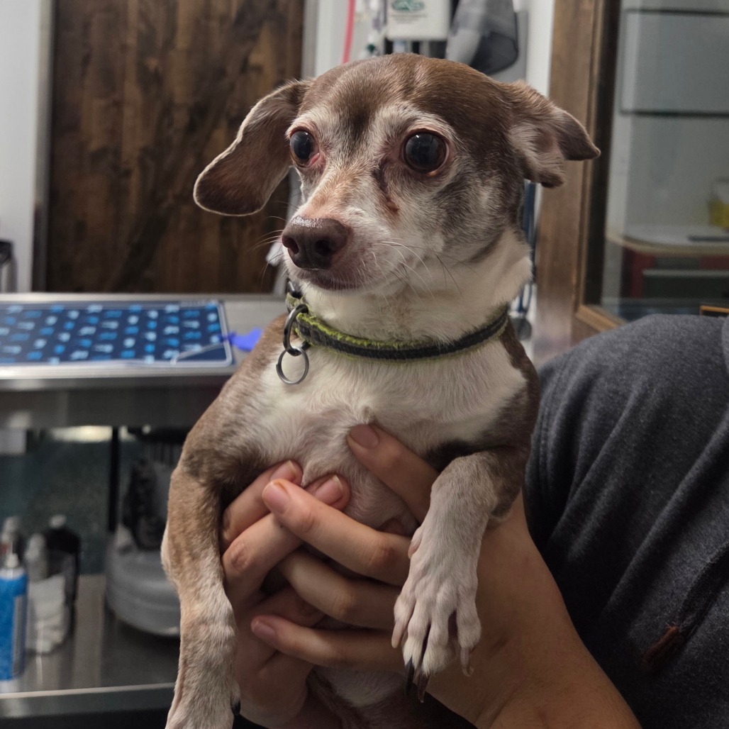 Jake — thumbnail 3