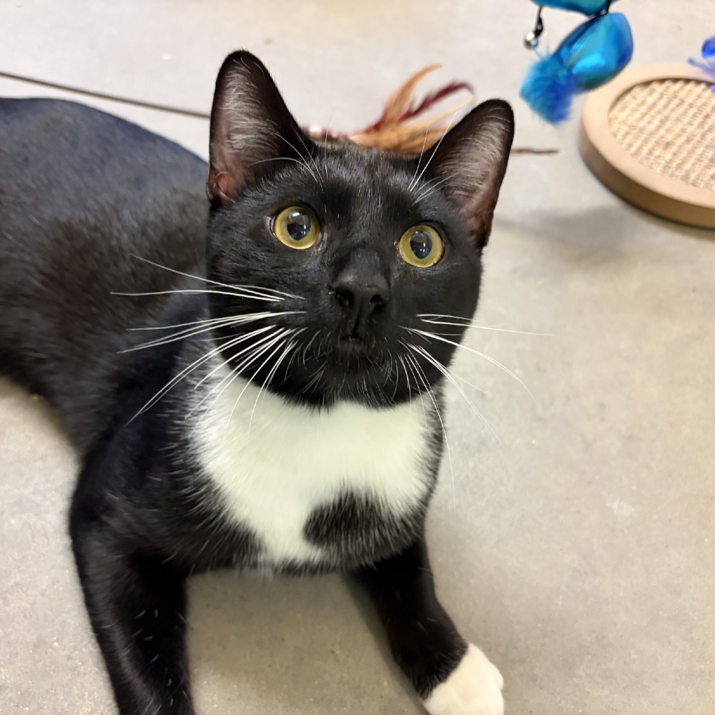 Photo of Ernie 18