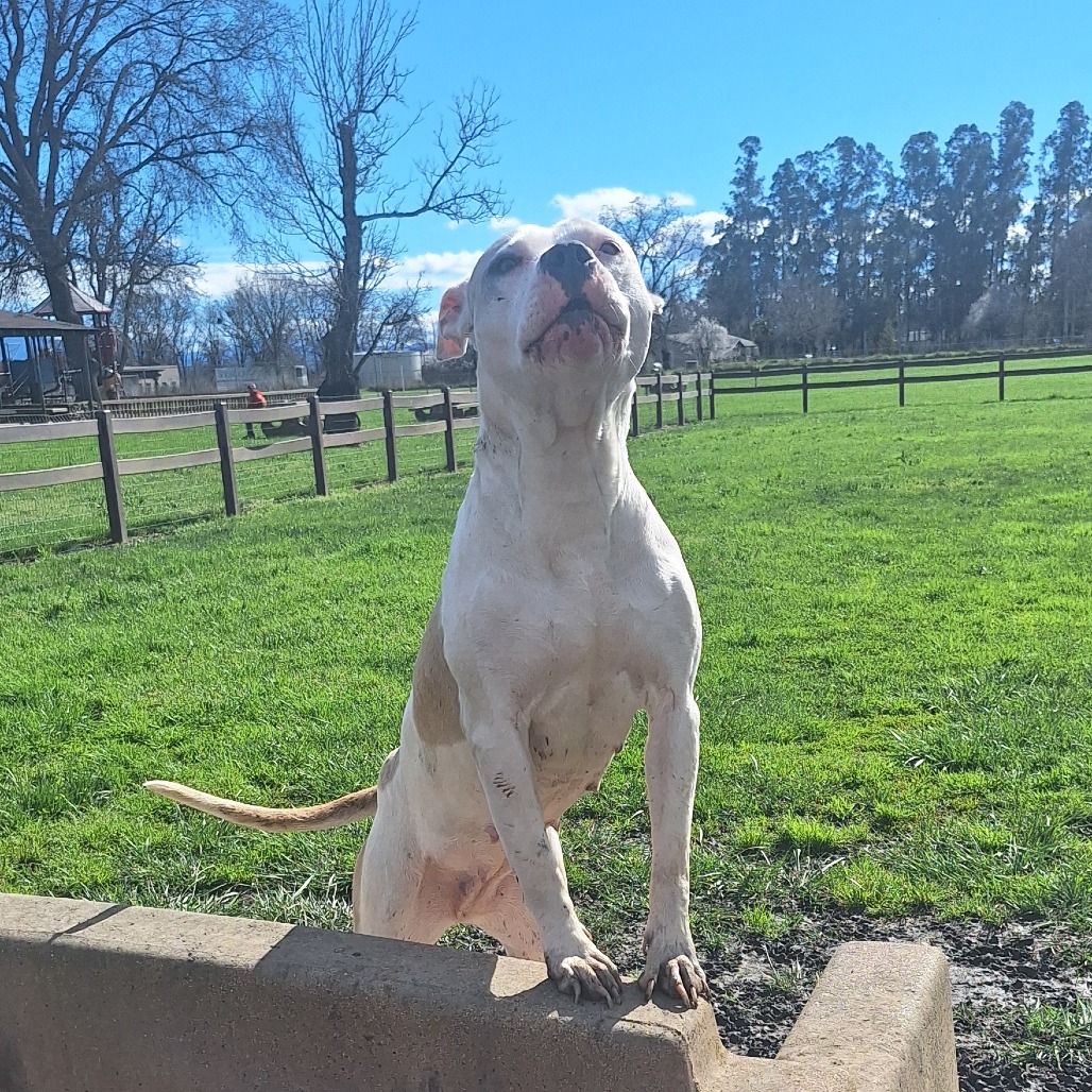 Kennel#10 Flora's preview photo