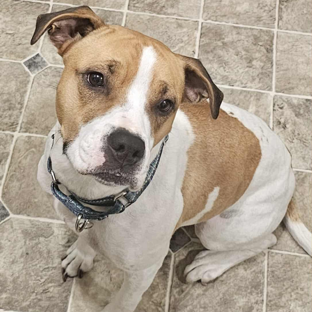 Maebelle — thumbnail 3