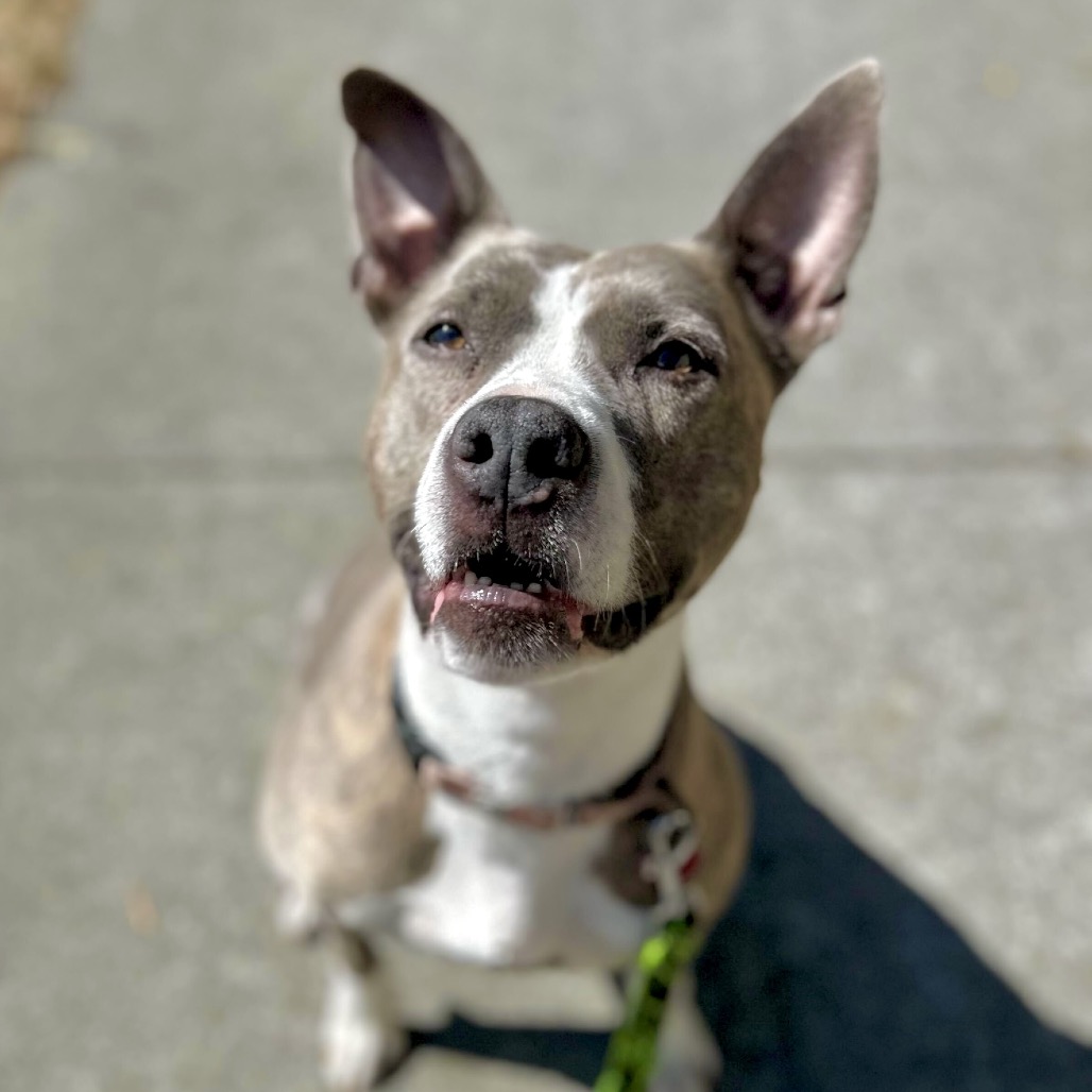 RILEY McPITTY, photo 14