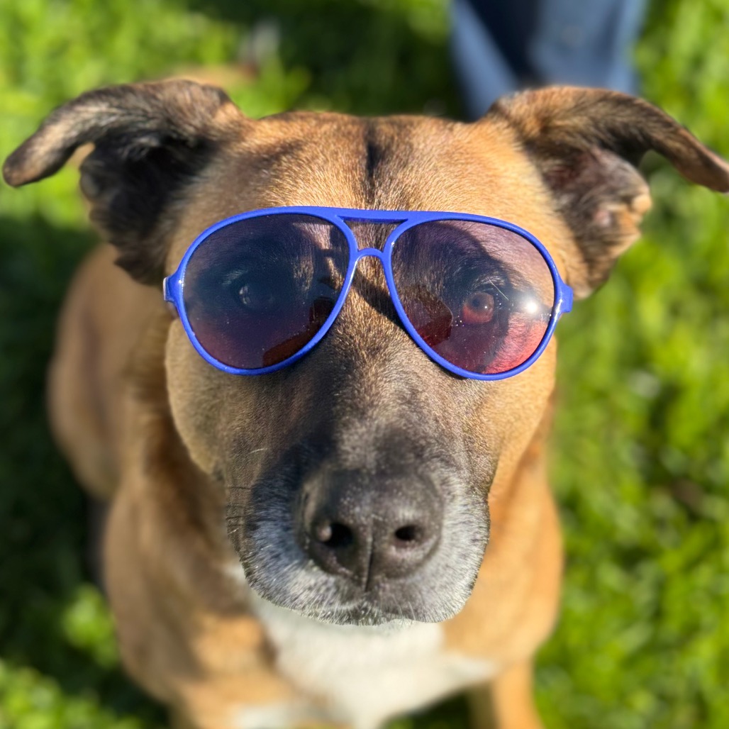 Bubz, photo 23