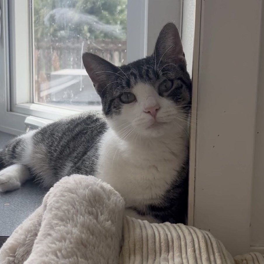Ella 