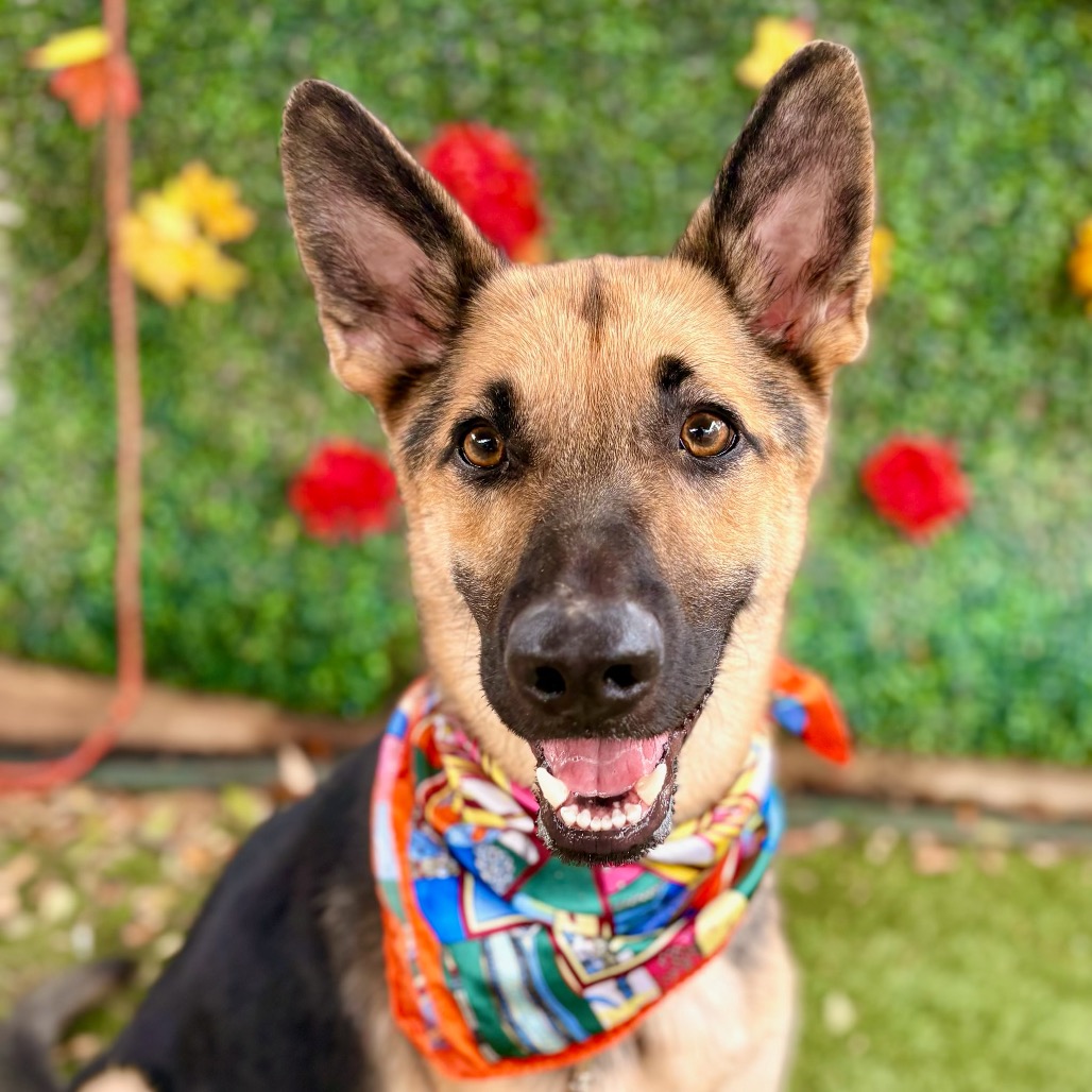 Andy — thumbnail 7