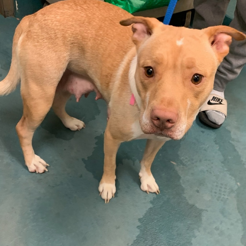 MARLEY — thumbnail 6