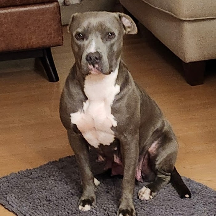 Winnie Waddles, photo 12