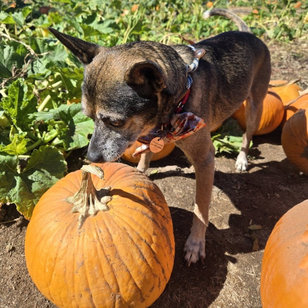 Benjamin, photo 3