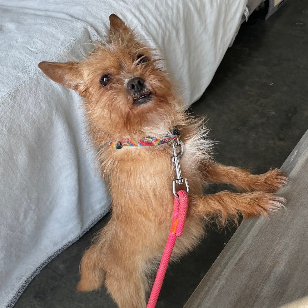 Bubbles — thumbnail 2