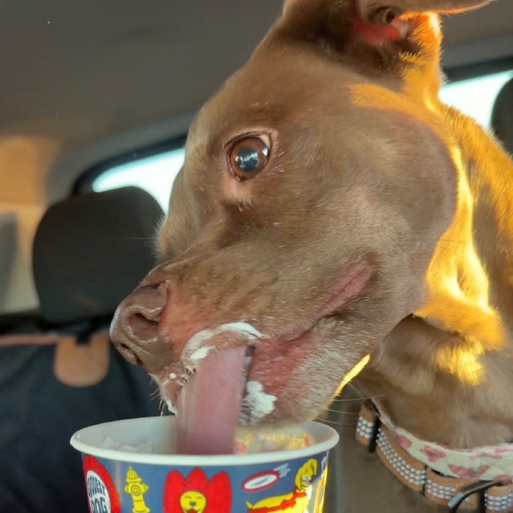 Molly — thumbnail 5