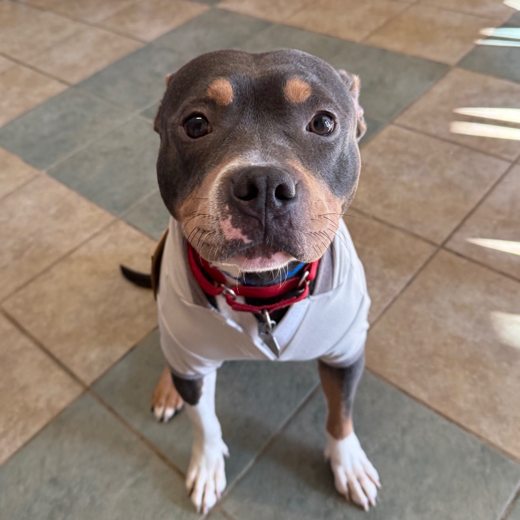 Todo — thumbnail 7