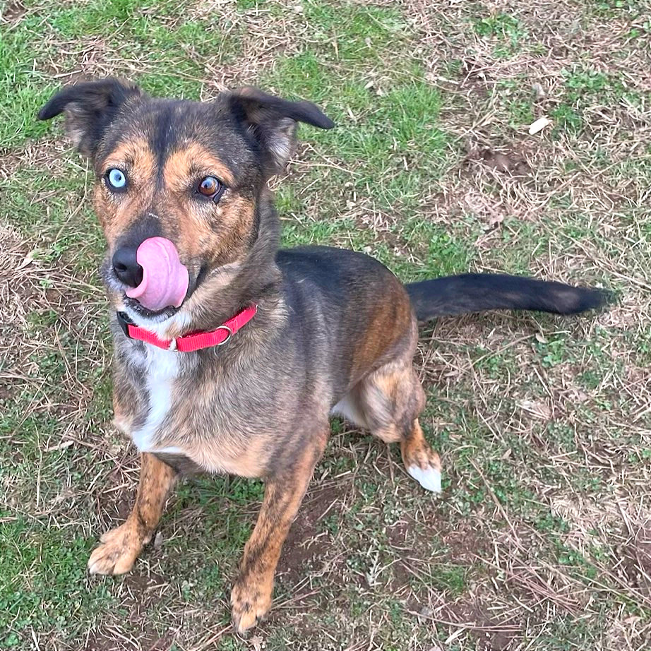 Stellaluna — thumbnail 6