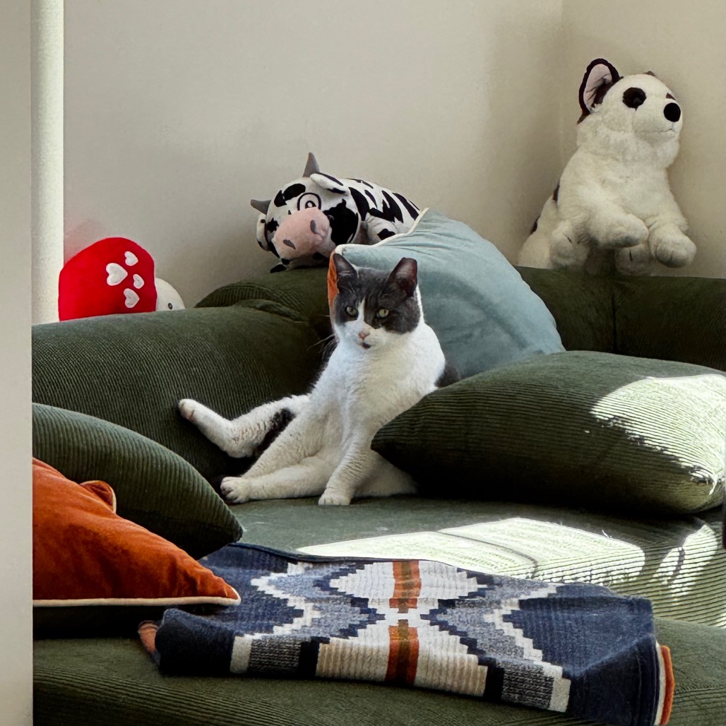 Shift — thumbnail 4