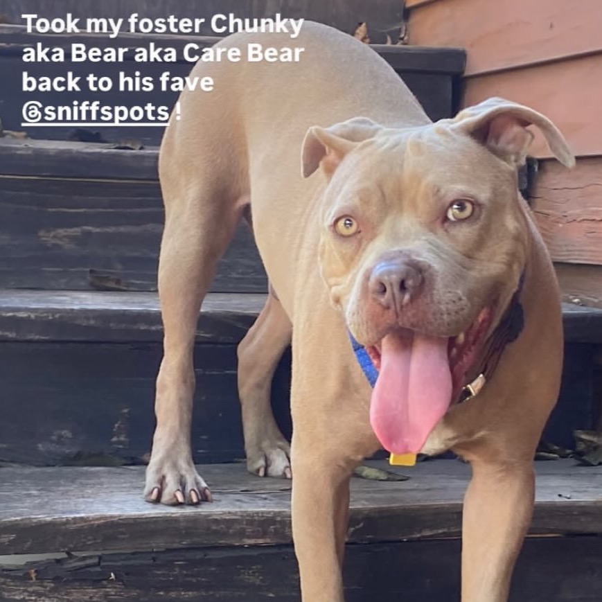 (Chunky) aka Bear