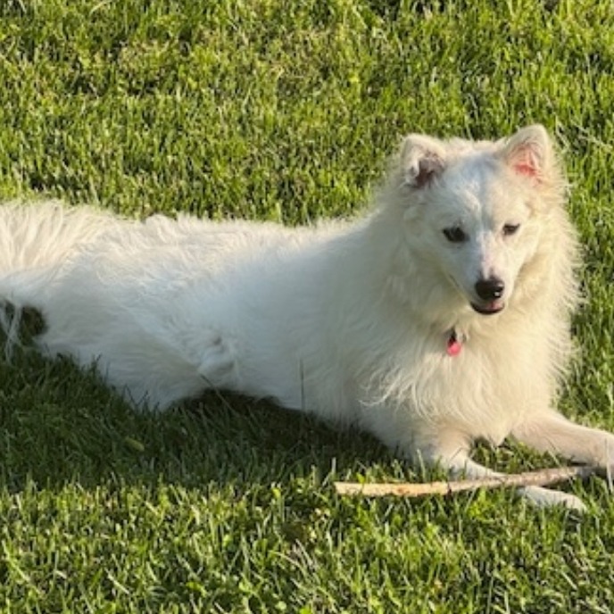 Kumo, photo 2 of 9